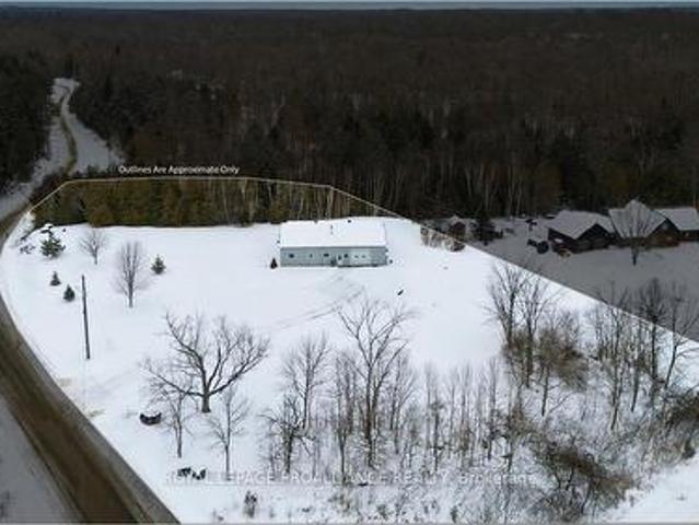 555 Douglas Road, Centre Hastings, ON, K0K 3H0 house for sale | Listing ID X12681 | Royal LePage