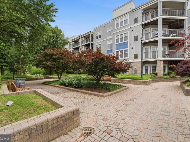 5565 Seminary Road # 313