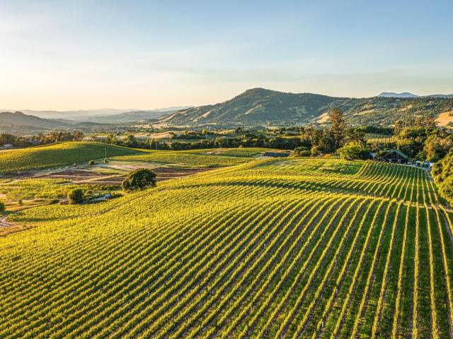 5561 Sonoma Mountain Road, Santa Rosa, US, CA