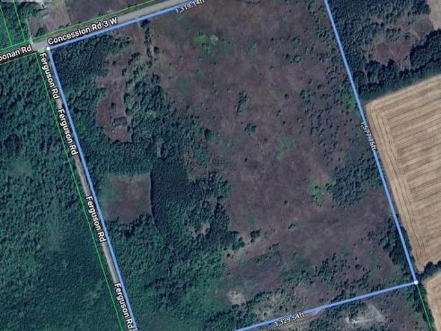 557 Noonan Road, Alnwick/Haldimand, ON, K0K 3K0 house for sale | Listing ID X12941 | Royal LePage