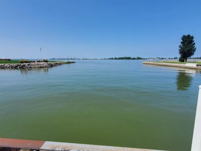 559 Bimini Drive