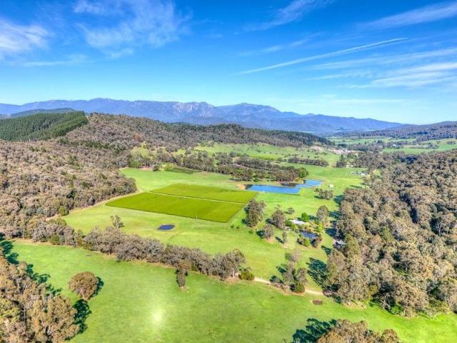 55 Acres, Green Tea Plantation, A Wonderful Lifestyle Opportunity Awaits