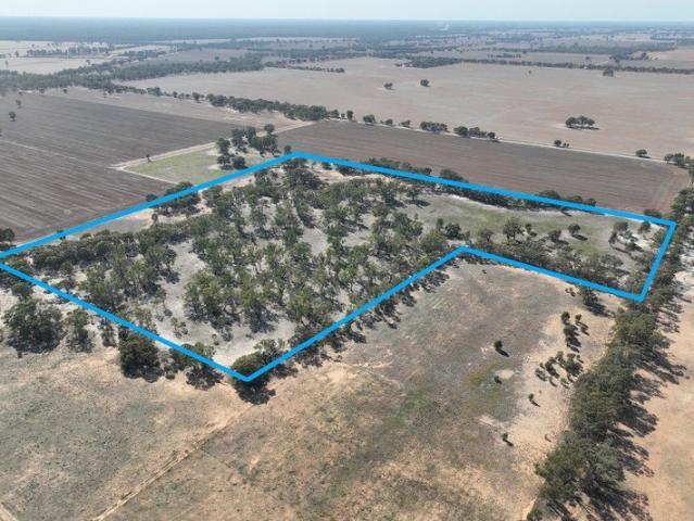 55 Acres of Peaceful Bushland Escape