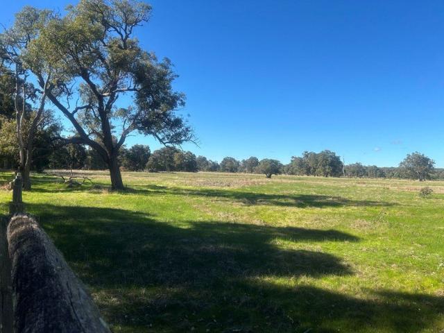 55 Hectares of Rural Opportunity with Crooked Brook Frontage
