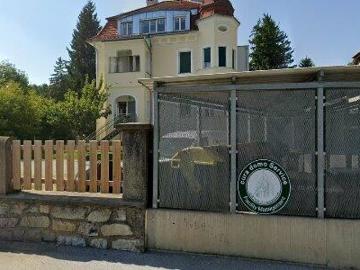 55 m2 apartment for rent in Graz