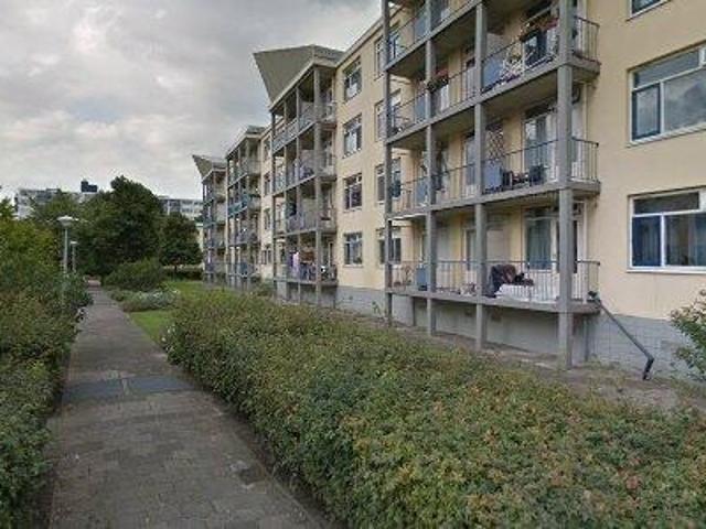 55 m2 apartment for rent in Haarlem