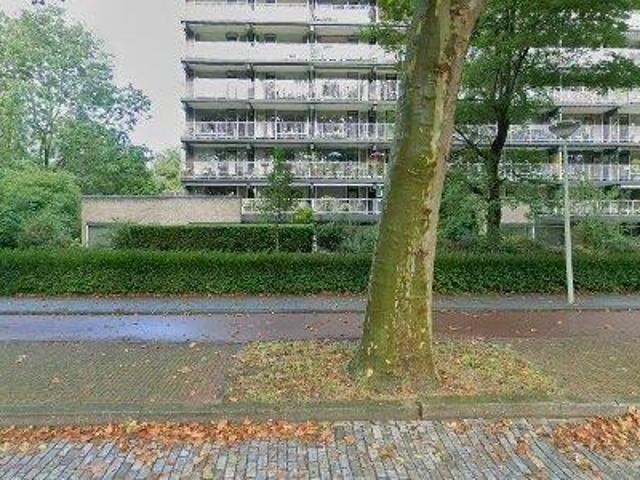 55 m2 apartment for rent in The Hague Haagse Hout