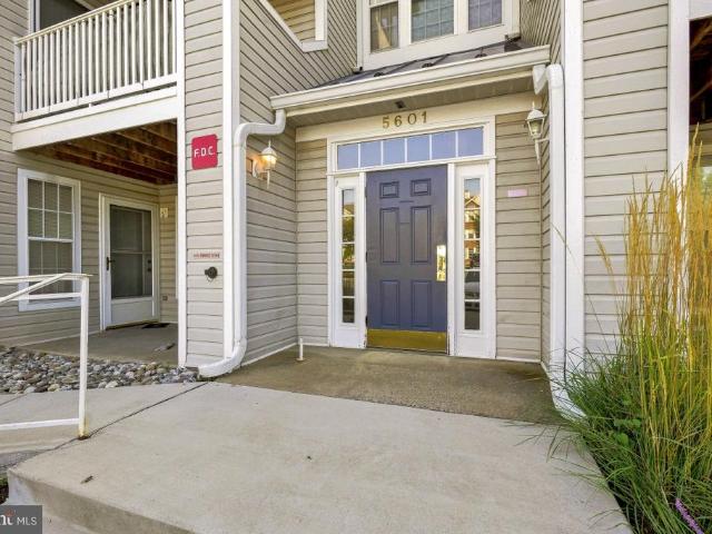 5601 Avonshire Place # B