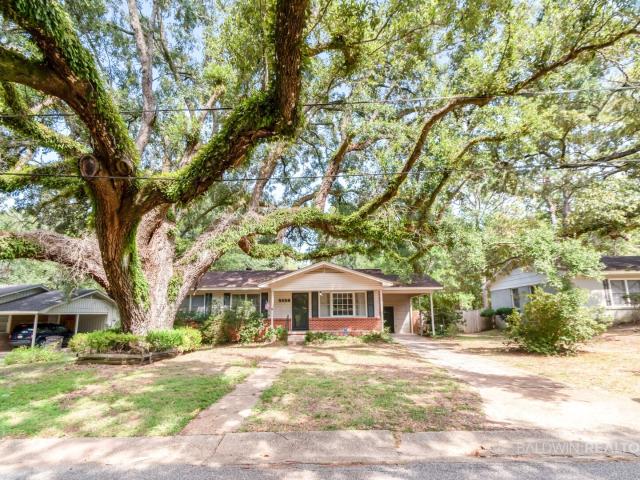 5658 Diane Drive