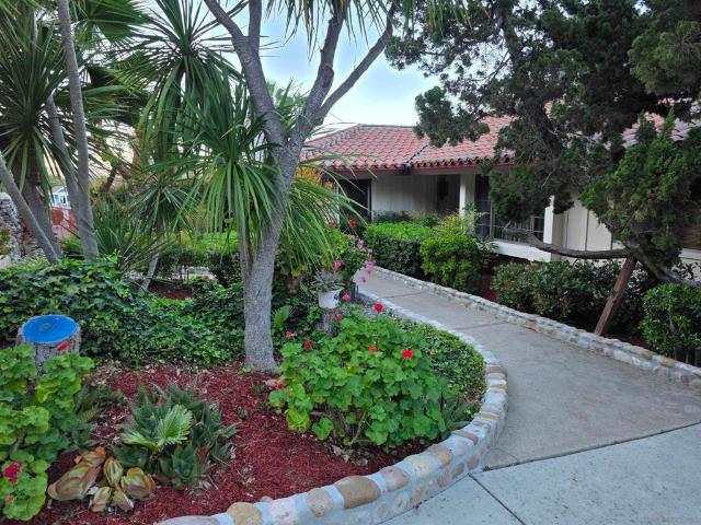 5667 Yerba Anita Drive