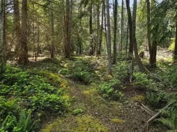 568 Aya Reach Rd, Mayne Island, BC, V0N 2J1 vacant land for.