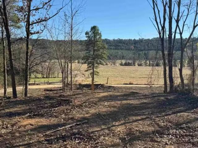 568 PECKERWOOD LN, NEW BLAINE, AR 72851