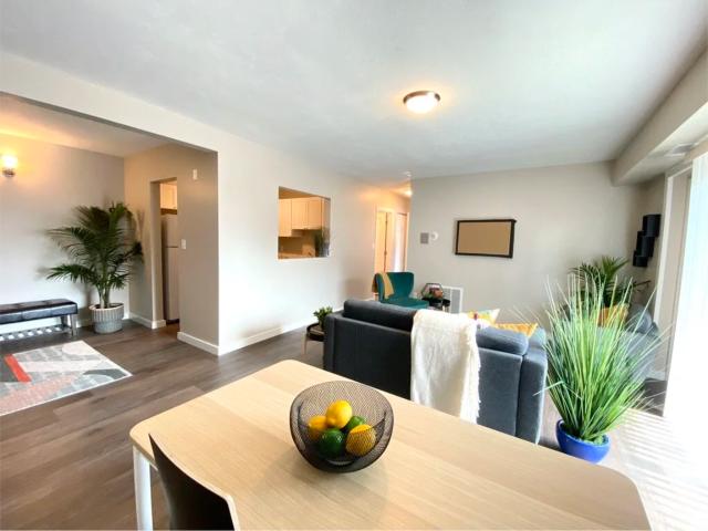 56 58 Bowdoin Ave 1 Bedroom Apartment for Rent at 56 Bowdoin Ave, Boston, MA 02121 Bowdoin North Mount Bowdoin