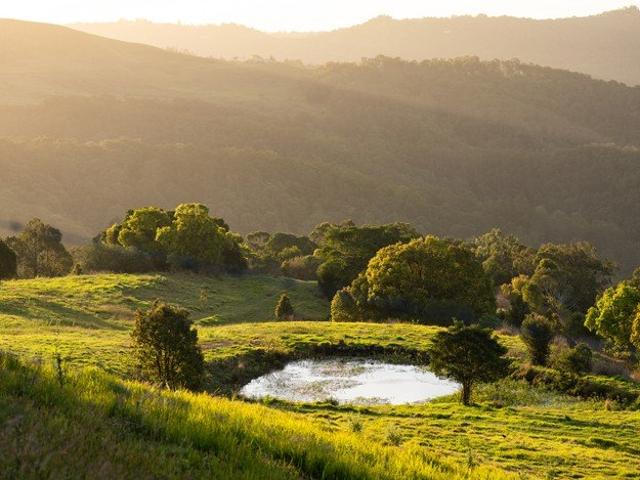 56 Acres of Lifestyle, Views & Opportunity