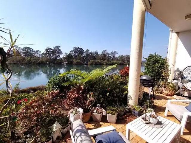 56 Guineas Creek Road, Currumbin Waters, QLD 4223
