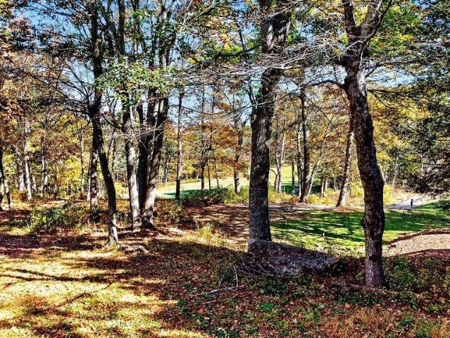 56 Laurel Springs Dr