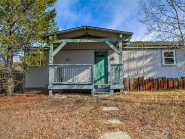 56 Magnum Bonum Dr, Breckenridge, CO 80424 | MLS #S1068