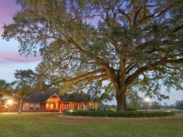 57012 Old U S 51, Amite, LA 70422 | MLS #2536