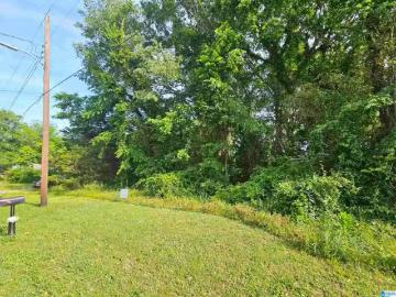 Longbrook Estates, Bessemer city, Jefferson County, Alabama, Alabama, USA
