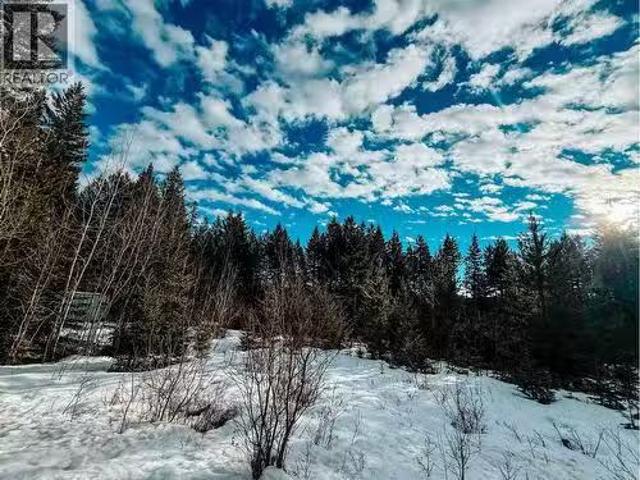 5724 Timothy Lake Road, Lac La Hache, BC, V0K 1T0 vacant lan.