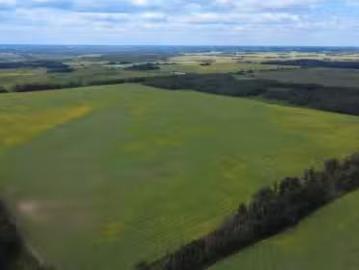57323 Rr212, Rural Sturgeon County, AB, T0A 2W0 vacant land.