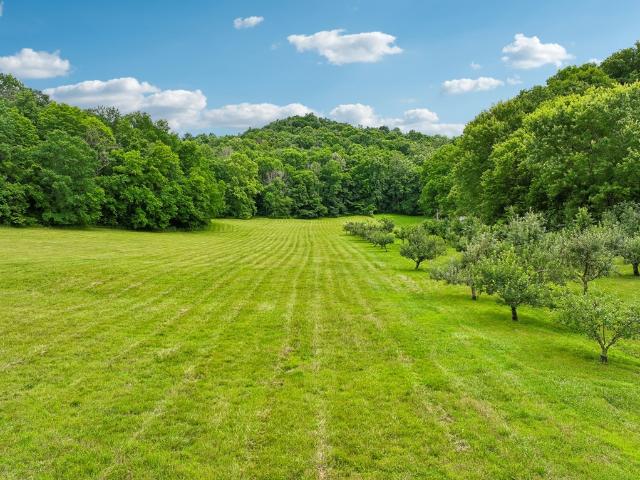 574 Hayes Ridge Road