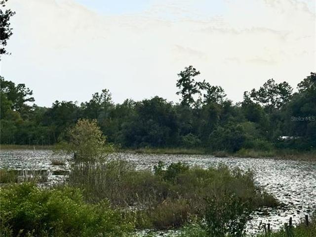 5756 NE 165th Terrace Rd, Silver Springs, FL 34488 | MLS #OM721236