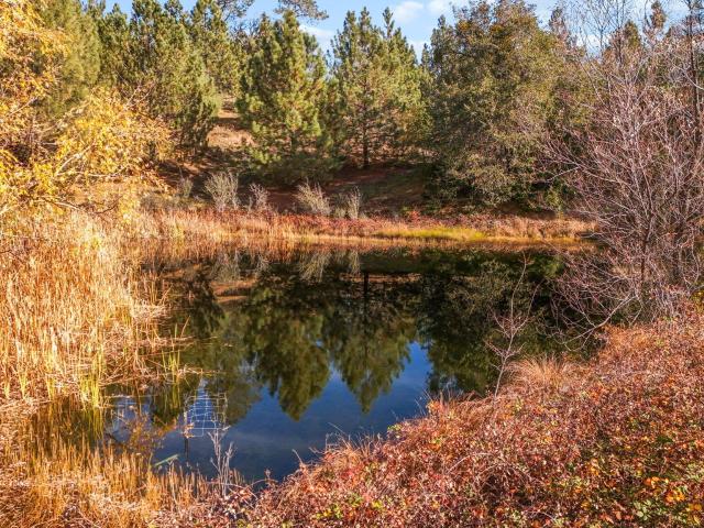 5750 Woodcutters Way