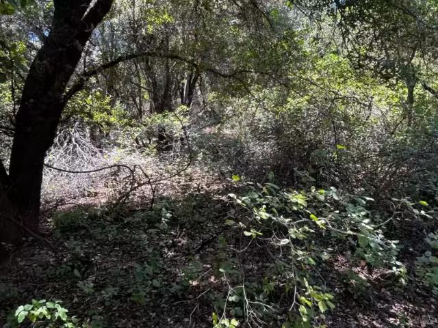 5768 Vallejo Ave, Clearlake, CA 95422 MLS 326058908