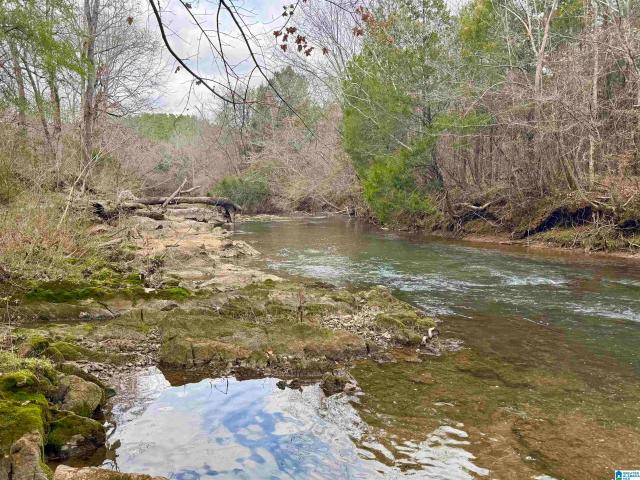 576 Gun Lock Road