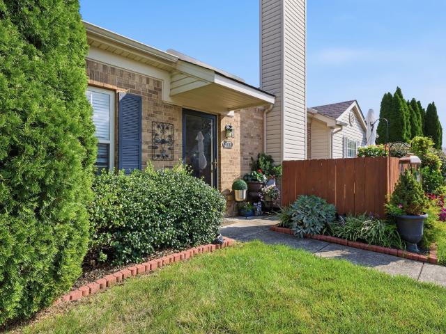 577 Goldon Trophy Trail