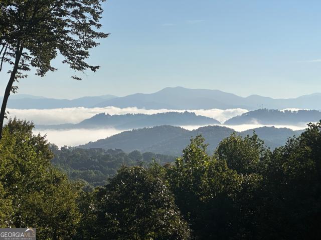 579 Overlook Circle