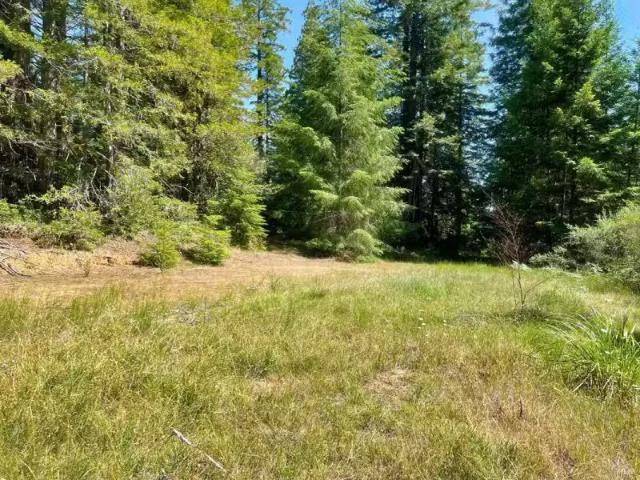 5801 FLYNN CREEK RD, COMPTCHE, CA 95427