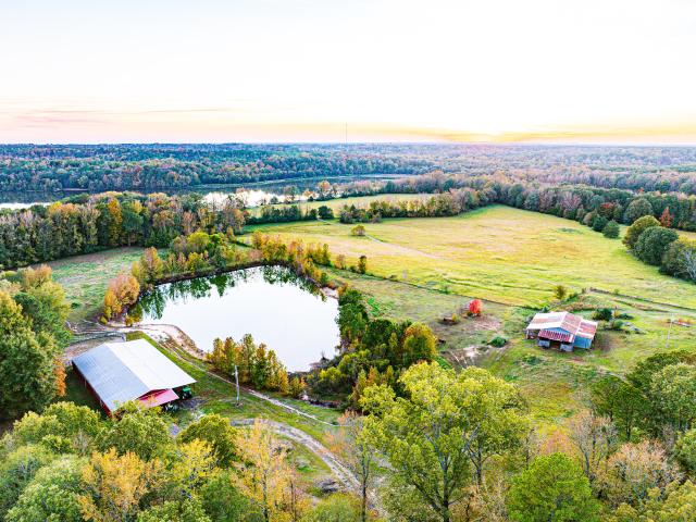 583 County Road 413