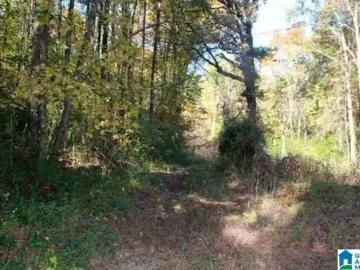 Jefferson County, Alabama, Alabama, USA