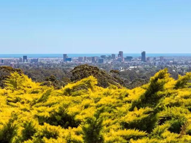 586 The Parade, AULDANA, SA 5072 House for Rent