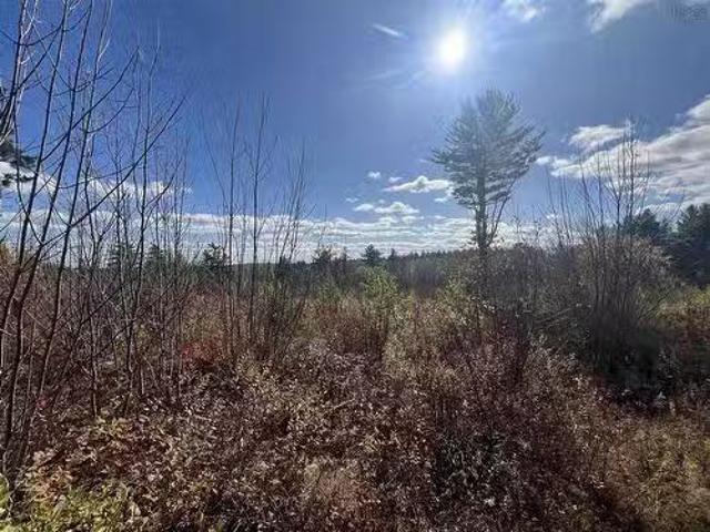 5896 Highway 8 Highway, Milford, NS, B0S 1A0 vacant land for.
