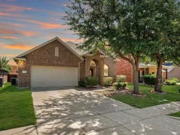 McKinney city, Collin County, Texas, USA