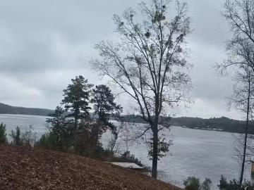 589 COUNTY ROAD 543 # 31, VERBENA, AL 36091
