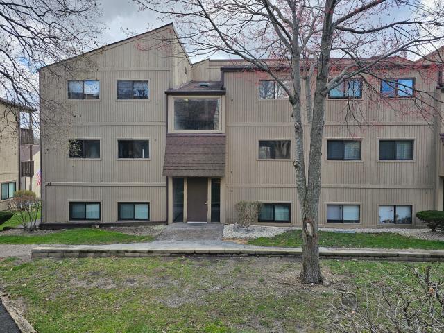 58 Vail Colony # 7