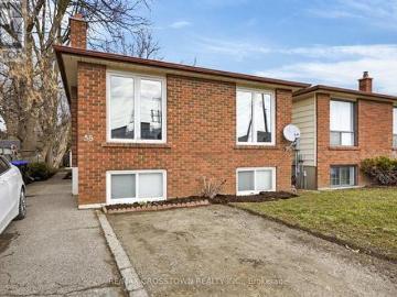 58 Albert Street E, New Tecumseth, ON, L9R 1E9 house for sale | Listing ID N12875 | Royal LePage