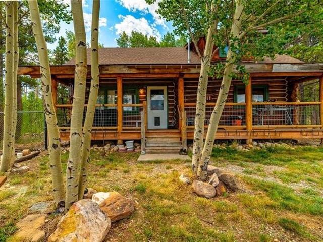 58 Muhly Ct, Fairplay, CO 80440