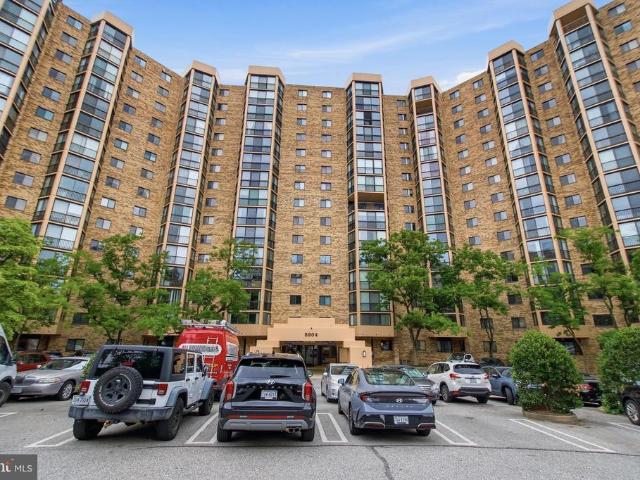 5904 Mount Eagle Drive # 1415