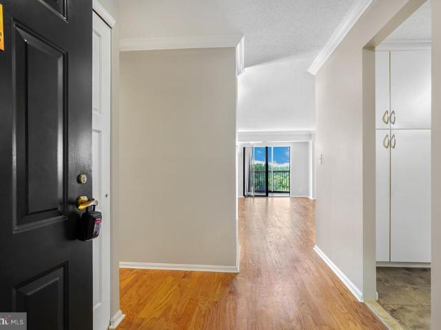 5904 Mount Eagle Drive # 614