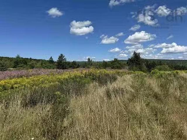 5907 395 Highway, South West Margaree, NS, B0E 3H0 vacant la.
