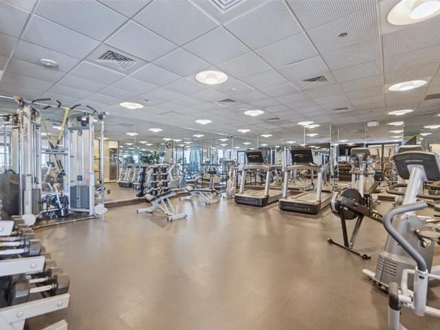 5909 Luther Lane # 1100