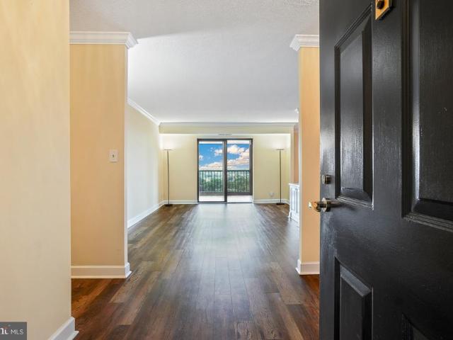 5901 Mount Eagle Drive # 1505