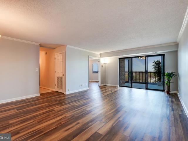 5902 Mount Eagle Drive # 1501