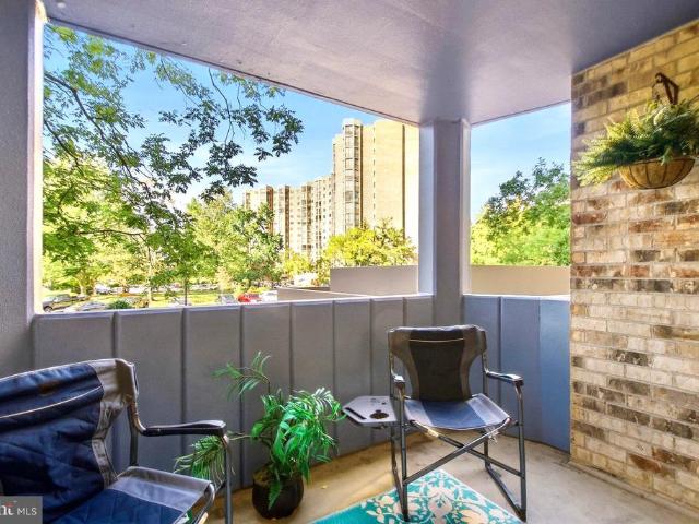 5902 Mount Eagle Drive # 209