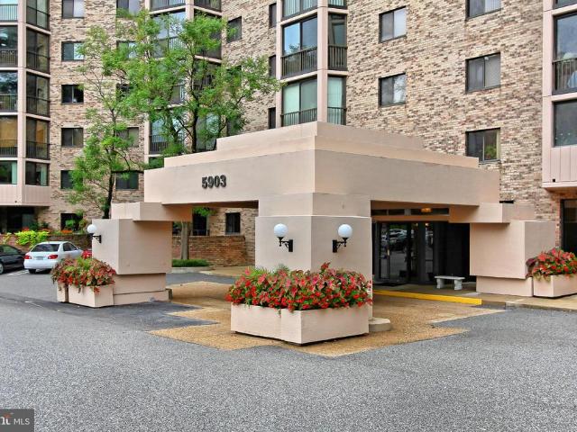 5903 Mount Eagle Drive # 203
